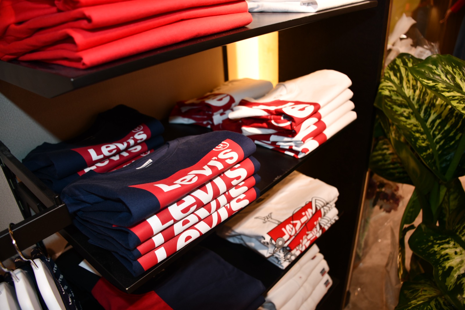 WhatsApp Image 2019-04-30 at 8.34.45 AM (1).jpeg.jpeg